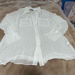 Zara White Sheer Button-Up Blouse S